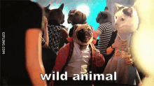 Wild Animal GIF - Wild Animal Wild Animal GIFs
