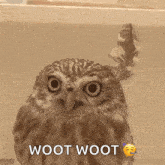 Fabulous Owl GIF - Fabulous Owl Cute Animals GIFs