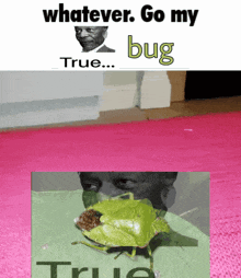 a picture of a bug with the words " whatever go my bug true " below it