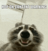 Racoon Content Warning GIF - Racoon Content Warning Hop On GIFs