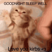 Love You Kirby Good Night Kirby GIF - Love You Kirby Good Night Kirby Sleep Well Kirby GIFs