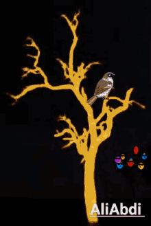 a drawing of a bird on a tree branch with the name aliabdi on the bottom