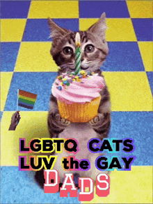 a picture of a cat holding a cupcake with the words lgbtq cats luv the gay dads below it