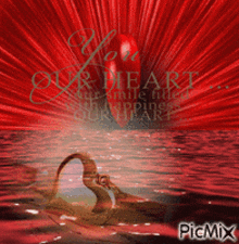 a picture of two swans in the water with the words " you are our heart "