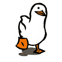Duck All Races GIF - Duck All Races GIFs