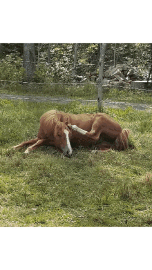 On The Move Horses GIF - On The Move Horses Cute GIFs