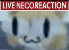 Neco Arc Live Slug Reaction GIF