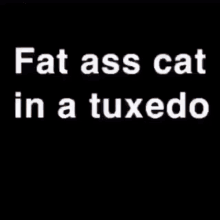fat cat tuxedo share this