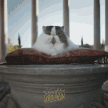 Cat The Electrical Life Of Louis Wain GIF - Cat The Electrical Life Of Louis Wain Cute GIFs