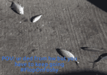 Flop Flopping Fish GIF - Flop Flopping Fish Fish GIFs