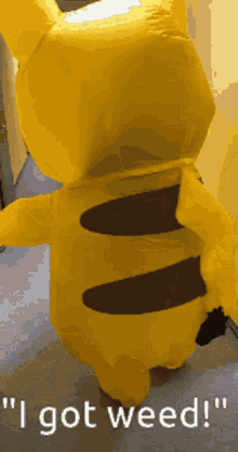 Pikachu GIF