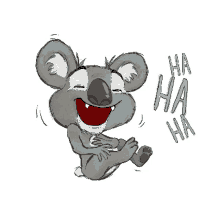 hangouts koala laughing rofl hahaha