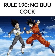 Rule190 No Buu Cock GIF - Rule190 No Buu Cock GIFs