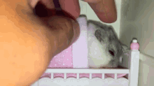 Sleepy Hamster GIF - Sleepy Hamster GIFs