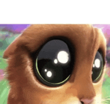 Puss In Boots Eyes GIF