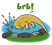 otter brb be right back back in a bit