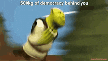 shrek says 500kg of democracy behind you in a blurry picture