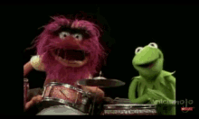 The Muppets Kermit GIF - The Muppets Kermit Drummer GIFs