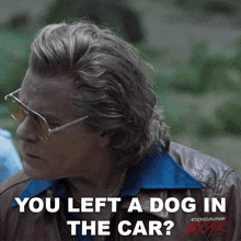 You Left A Dog In The Car Syd GIF - You Left A Dog In The Car Syd Ray Liotta GIFs
