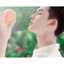 Zhu Zheng Ting Orange GIF - Zhu Zheng Ting Orange GIFs