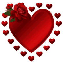 rose hearts