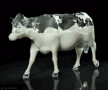 乳牛 Cow GIF - 乳牛 Cow Milk GIFs