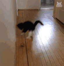 GIF