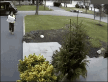Not Cool GIF - Delivery Package Delivery Why Its Broke GIFs