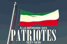 Patriotes Patriote GIF