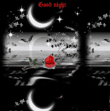 Good Night Moon GIF - Good Night Moon Water GIFs