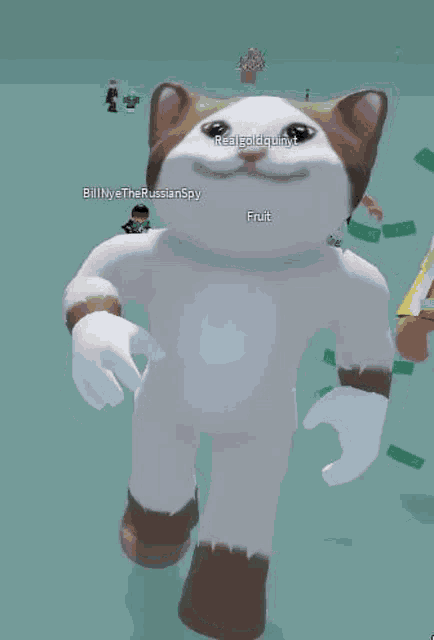 man face cat - Roblox