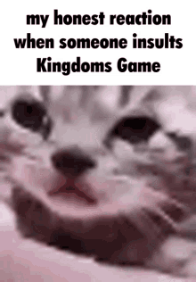 kingdoms game sad kitten crying trending kitten