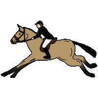Horse Gallop Sticker