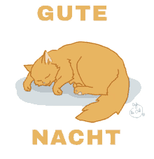 Gute Nacht Katze - Gute Nacht GIF - Gute Nacht Gute Nacht Katze Katze GIFs