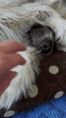 Kratu Tickle GIF - Kratu Tickle Bash GIFs