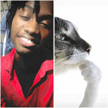 a man in a red shirt and a cat with blue eyes