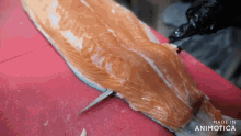 a large piece of salmon is being sliced on a cutting board with the words made in animotica visible