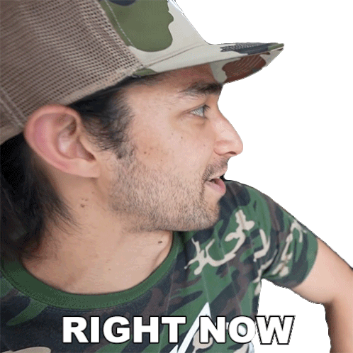Right Now Wil Dasovich Sticker - Right Now Wil Dasovich Currently Stickers