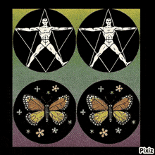 a picture of a man and a butterfly with the word pixiz on the bottom right