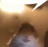 a close up of a person 's face with a speech bubble in the corner