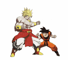 fighter broly
