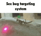 Sex Bug Praying Mantis GIF - Sex Bug Bug Praying Mantis GIFs
