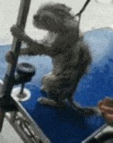 Xafer Wetcat GIF - Xafer Wetcat Cat GIFs