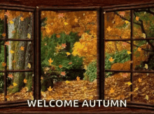 Autumn Leaves GIF - Autumn Leaves Lovely GIFs