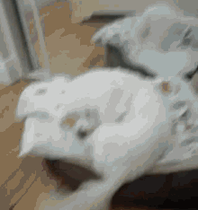 a white dog is laying on its back on a bed with a pillow