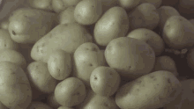 Bejo Patata GIF - Bejo Patata Emergir GIFs