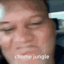 Chome Jungle GIF - Chome Jungle Chome Jungle GIFs
