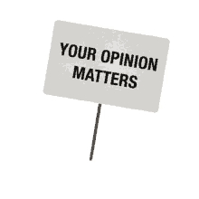 opinion your