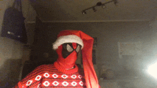 a person wearing a santa hat and a sweater