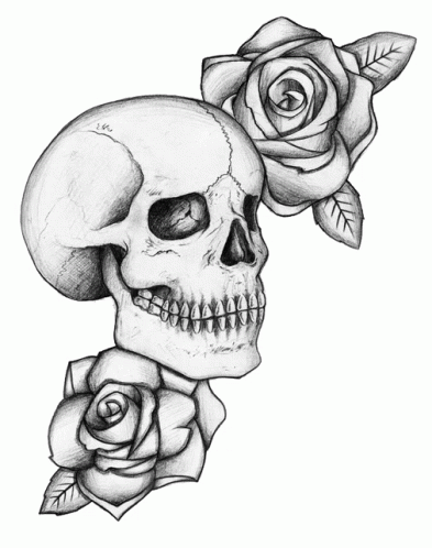 Skull & Flowers Illustration by Jeanette Pidi on Dribbble